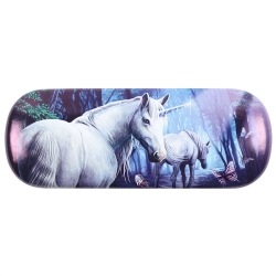 Etui na okulary - The Journey Home Glasses Case by Lisa Parker